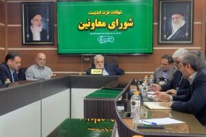 تأکید مدیرکل بنیاد شهید شهرستان‌های استان تهران بر ساماندهی گلزارهای شهدا بر اساس نقشه فنی و عمرانی