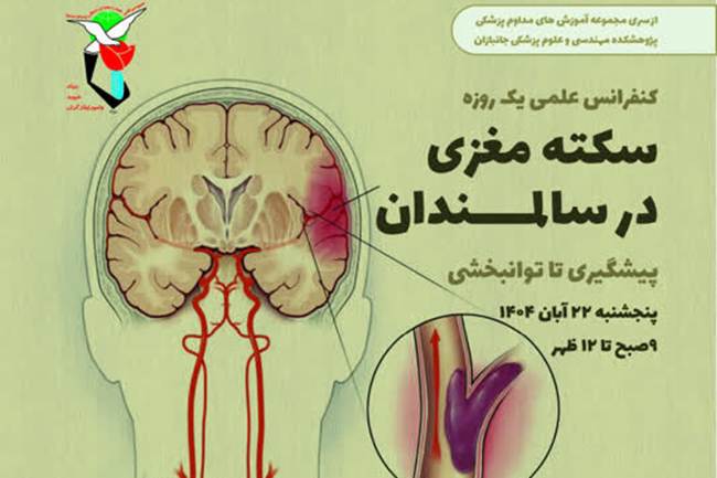 برگزاری وبینار آموزشی با عنوان«سکته مغزی در سالمندان