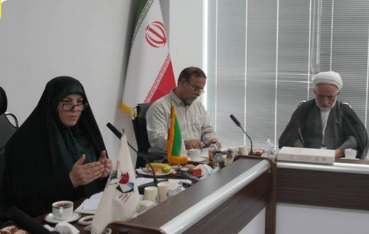 برگزاری نشست هم‌اندیشی شورای مشاوران وزرا در امور ایثارگران با حضور معاون تعاون و امور اجتماعی بنیاد شهید و امور ایثارگران