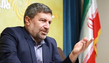 انتقاد از رئیس شورای اطلاع رسانی دولت