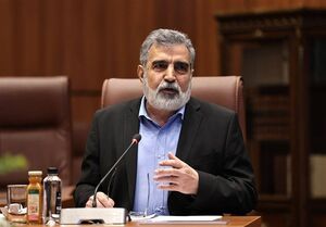 ۱۲ روز زیر آتش؛ روایت کمالوندی از حمله به تاسیسات هسته‌ای ایران