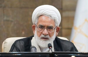 برخی عناصر بی بصیرت از سر جهالت و ناآگاهی آب به آسیاب دشمن می‌ریزند