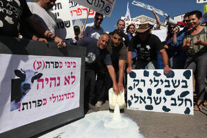 اعتراض دامداران اسرائیلی؛ بحران لبنیات به خیابان‌ها کشیده شد