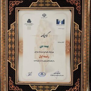 شرکت بیمه دی به عنوان رتبه اول در بین مؤسسات بیمه ای کشور انتخاب شد