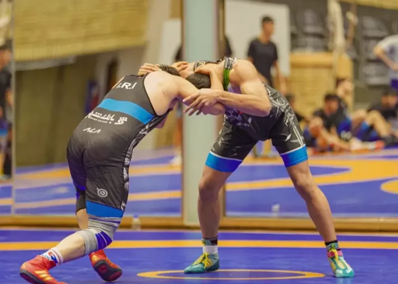 چالش عدم صدور ویزا برای کشتی گیران ایرانی