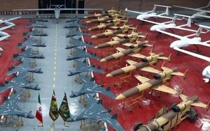 شگفتی کارشناسان از پروازهای شبانه پرنده ایرانی در آبهای جنوب