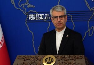 بقایی: پلیس دیپلماتیک را هدف قرار دادند تا سفارتخانه‌ها بی‌دفاع بماند