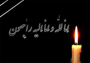 ۴ رزمی کار به شهادت رسیدند