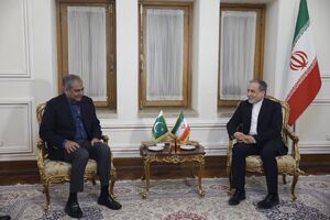 دیدار وزیر کشور پاکستان با عراقچی و تسلیم پیام مقامات پاکستانی