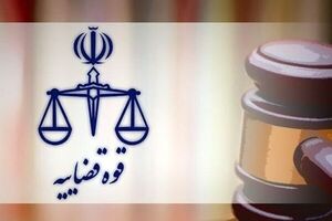 توقیف ۸۶خودروی لوکس، ۱۸۷ قطعه زمین و ۸۶ آپارتمان تراستی‌ها