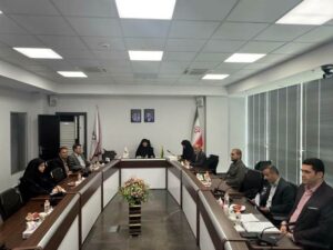 برگزاری نشست شورای عالی «طرح تحولی مدیریت مورد» در بنیاد شهید