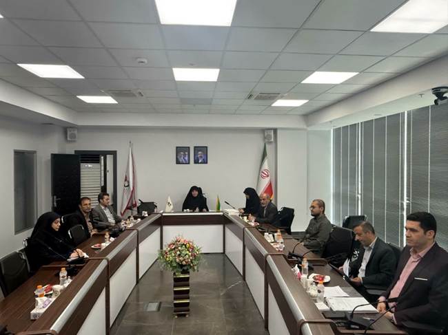 برگزاری نشست شورای عالی «طرح تحولی مدیریت مورد» در بنیاد شهید