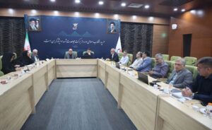 نشست وبیناری معاونت بهداشت و درمان بنیاد شهید و امور ایثارگران