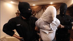 عامل پرتاب ۳ کوکتل مولوتوف در میدان پونک دستگیر شد