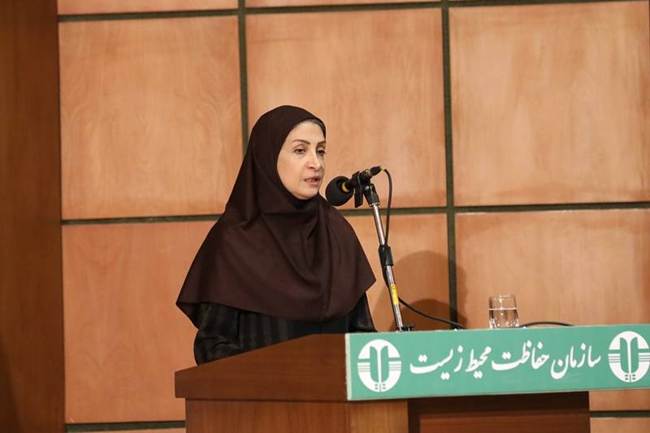 خلاقیت جوانان؛ راهکارِ حفاظت از سرمایه‌های ملی