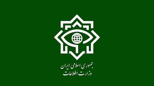 وزارت اطلاعات: ۴ شبکه خرابکاری خیابانی منهدم شدند