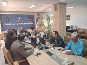 مدیرکل بنیاد شهید مازندران: راهبرد موفق نیازمند توجه به تجربه زیسته شهرستان‌ها است